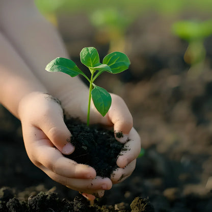 Best organic vermicompost fertilizer - compost | 2025 | fast shipping
