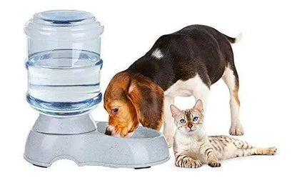 Pet Automatic Water Dispenser pet