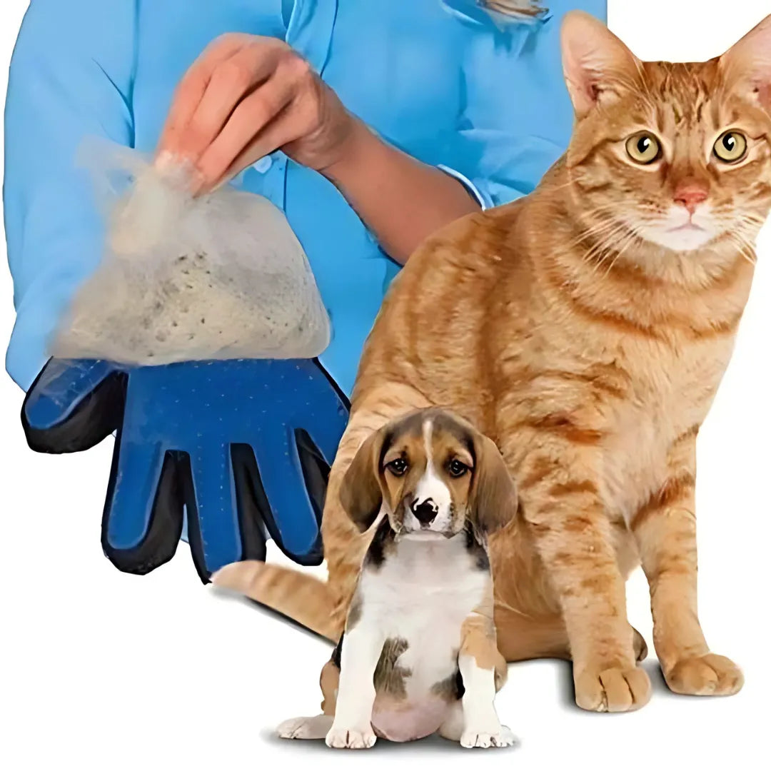 Pet Cleaning Grooming Hair Hand Gloves