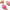 Pet Grooming Glove Brush - Home & Kitchen