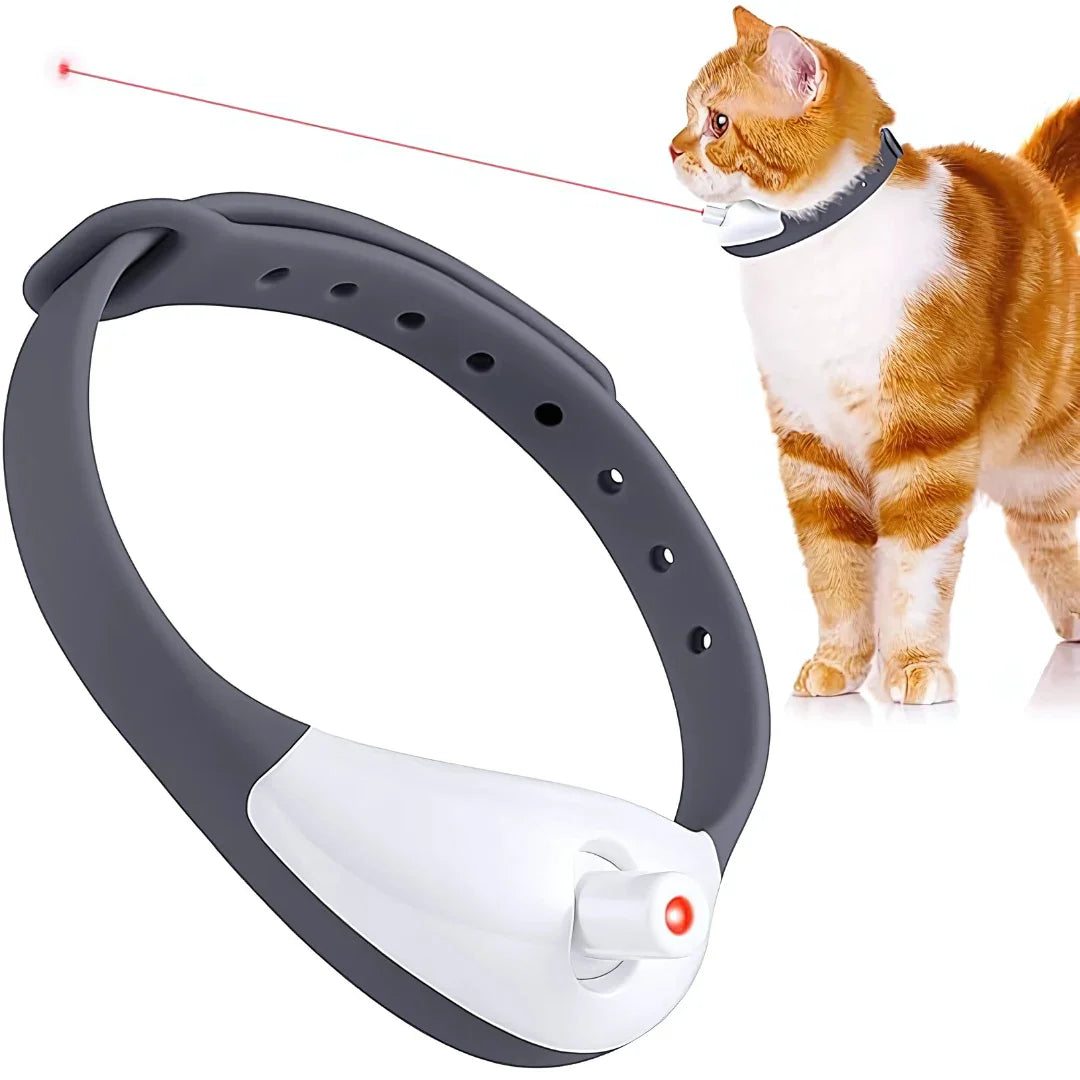 Pet Laser Collar Self Teasing Toy