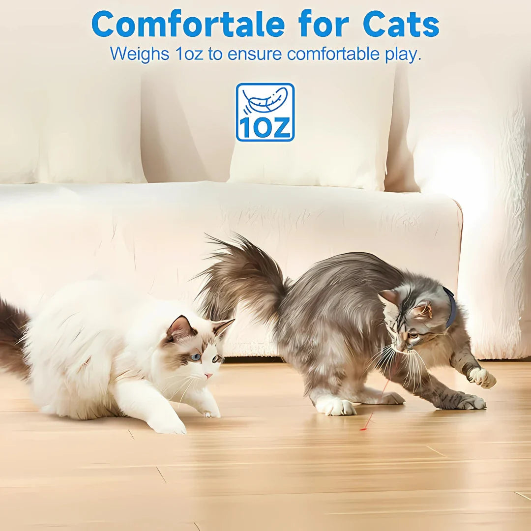 Pet Laser Collar Self Teasing Toy