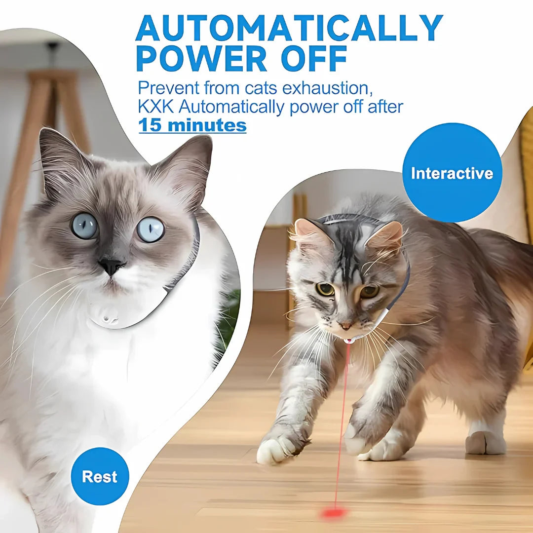 Pet Laser Collar Self Teasing Toy