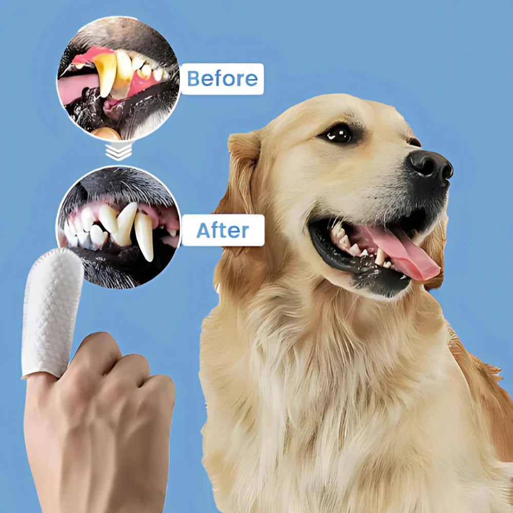 Pet Teeth Cleaning Wipes