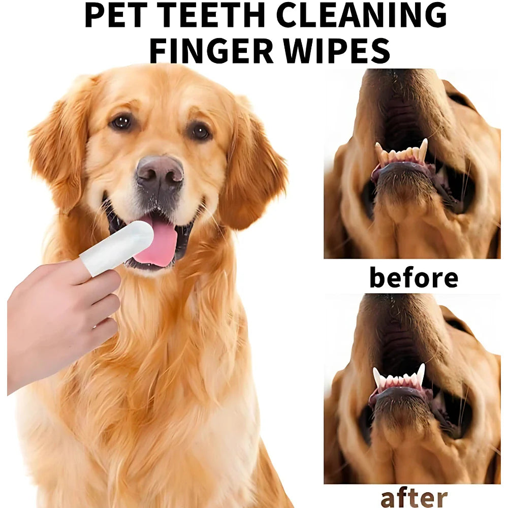 Pet Teeth Cleaning Wipes