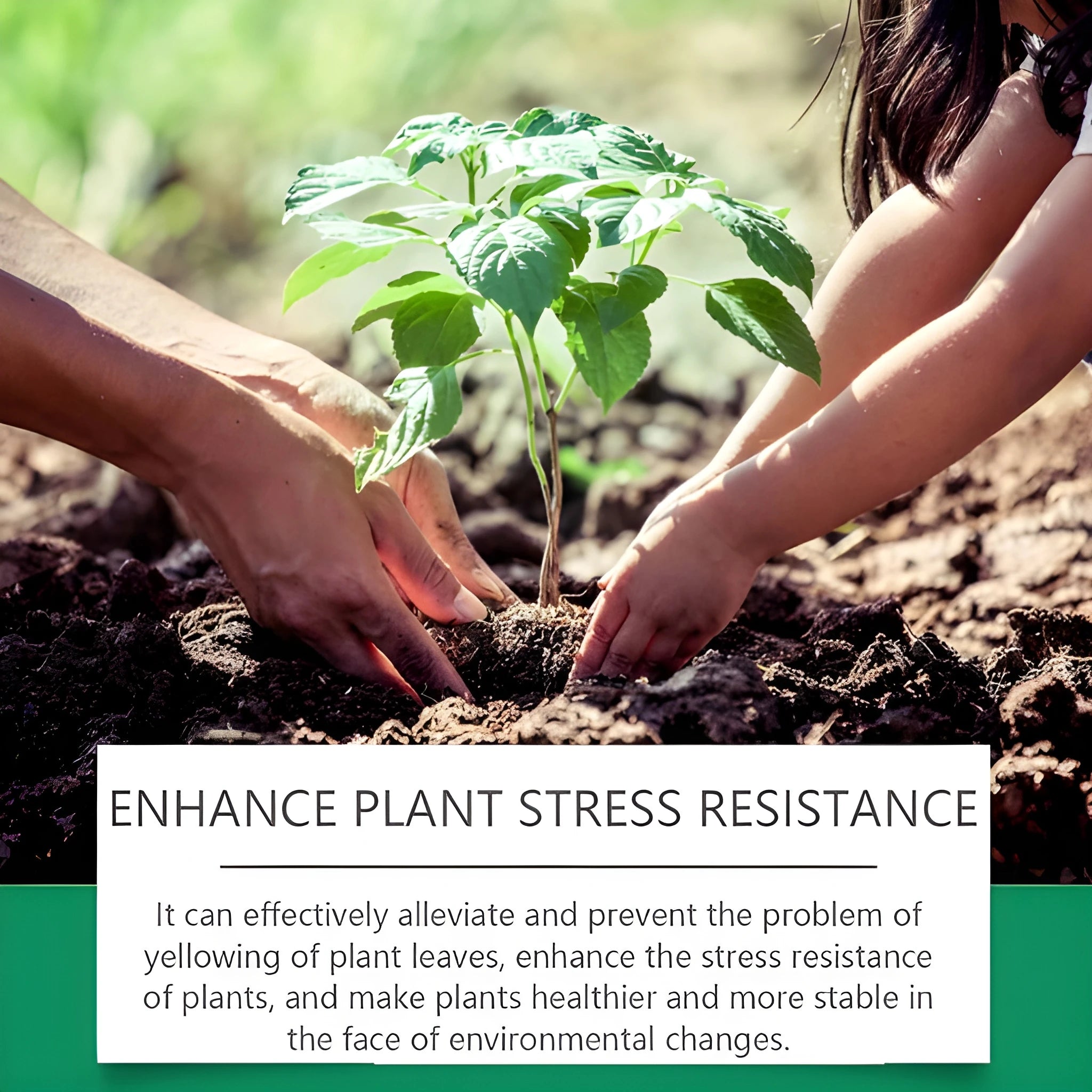 Instant Green Leaf Spray