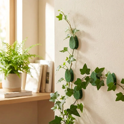 Best plant climbing wall fixture clip (30 pcs set) - supports | 2026 | fast shipping