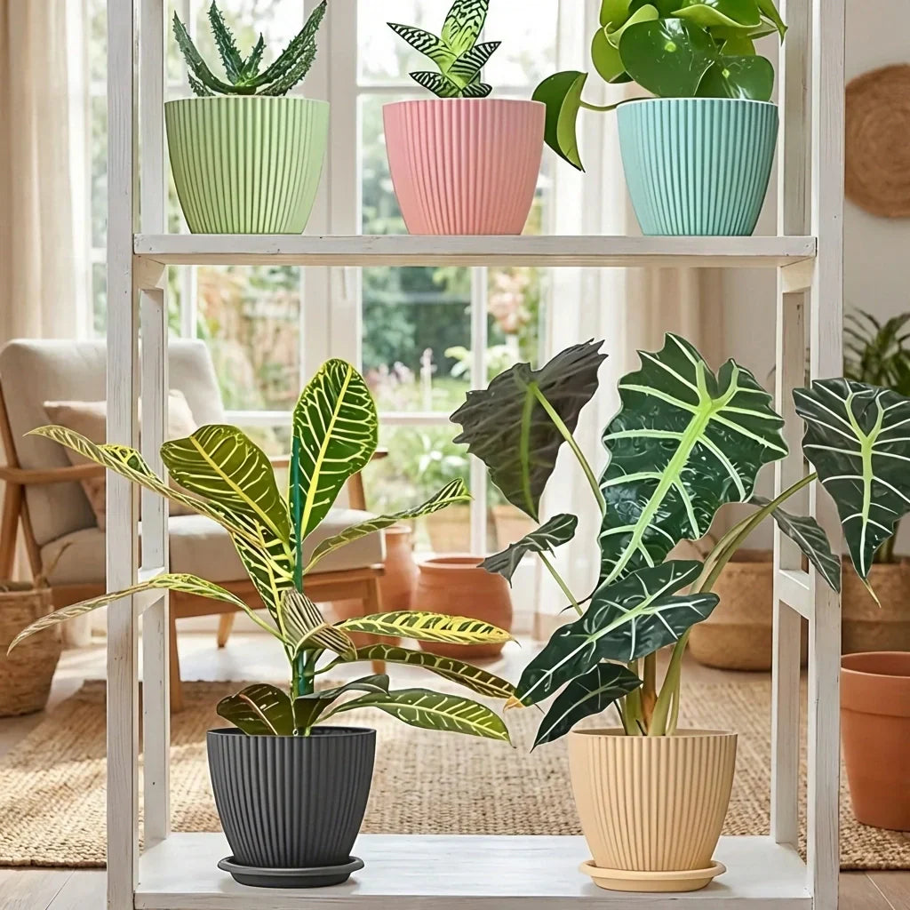 Best plastic flower pot with bottom tray - home & garden | 2026 | fast shipping