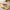 Best plastic food storage container (3 pcs set) - containers | 2026 | fast shipping