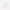 Plastic Storage Divider – 1 Pc - Home Improvement