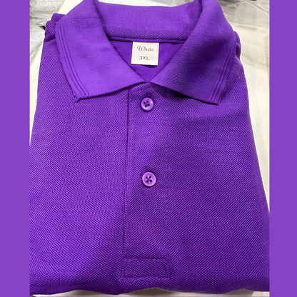 Polo Matty T Shirts For Men