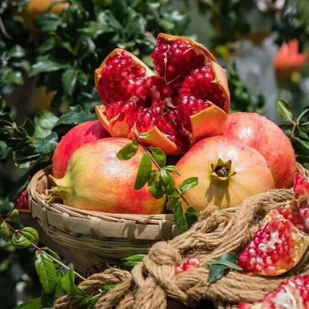Pomegranate Seeds Pack of 2 garden & outdoor