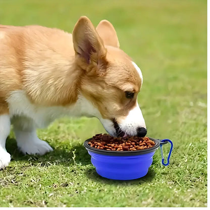 Portable Collapsible Pet Bowl