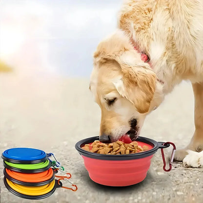 Portable Collapsible Pet Bowl