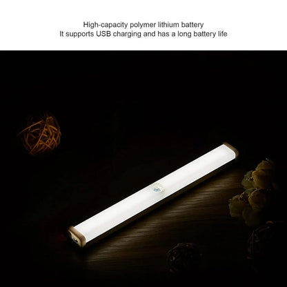 Portable Rechargeable Light