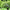 Best precision garden flower cutter - pruning shears | 2025 | fast shipping