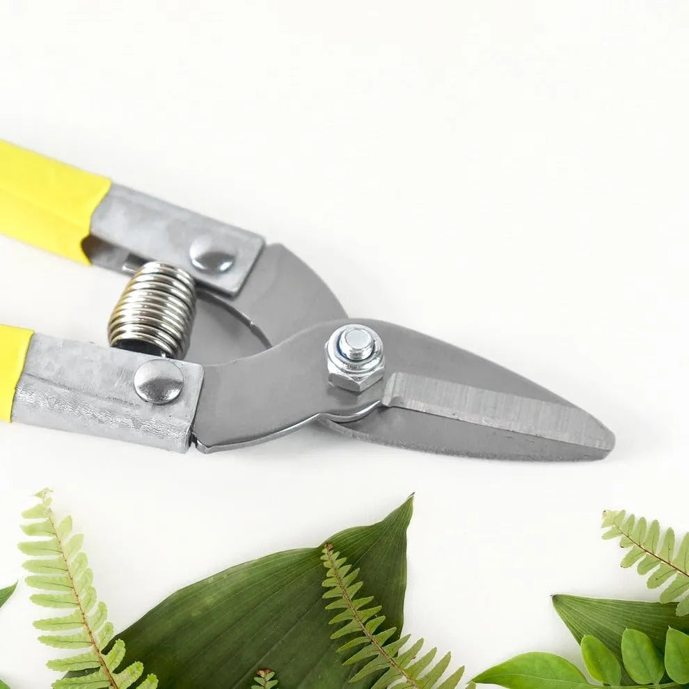 Precision Micro Garden Snip Pruning Scissor (Small)