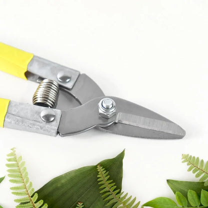 Precision Micro Garden Snip Pruning Scissor (Small)