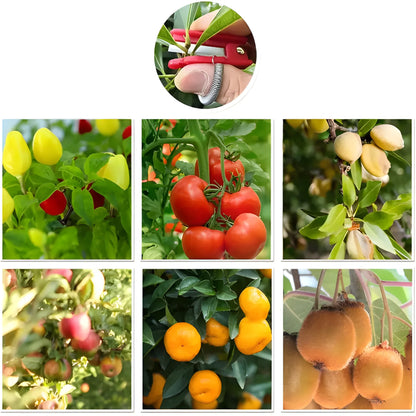 Precision Thumb Cutter Tool