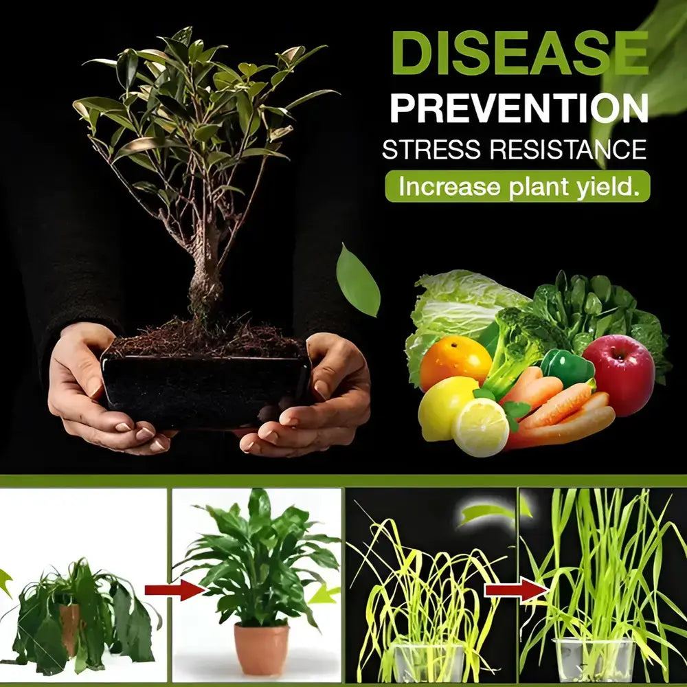 Premium Organic Soil Activator