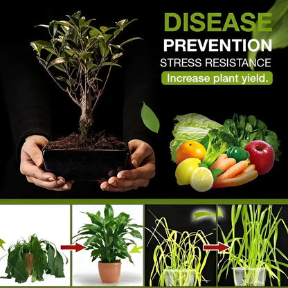 Premium Organic Soil Activator