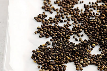 Premium Papaya Seeds seeds