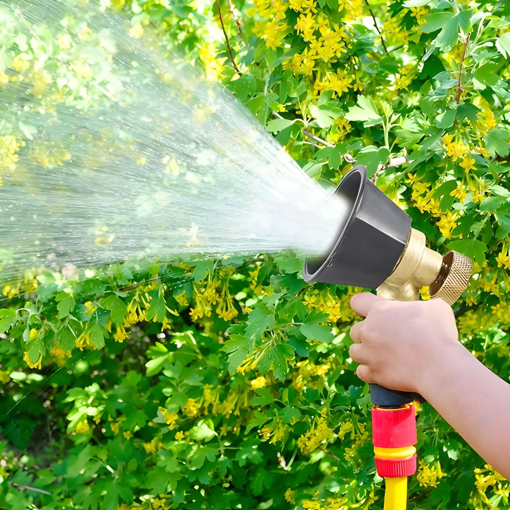 Professional Brass Spray Nozzle