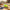 Best pull-back race car set - toy cars | 2026 | fast shipping