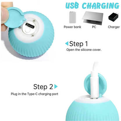 Purrfect Spin Rechargeable Cat Toy