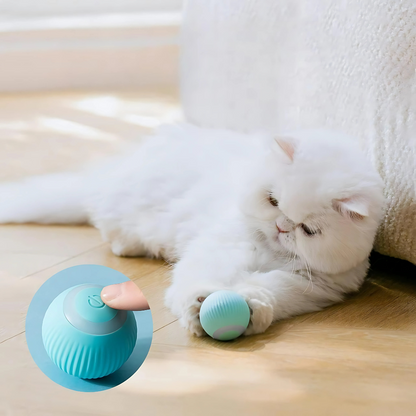 Purrfect Spin Rechargeable Cat Toy