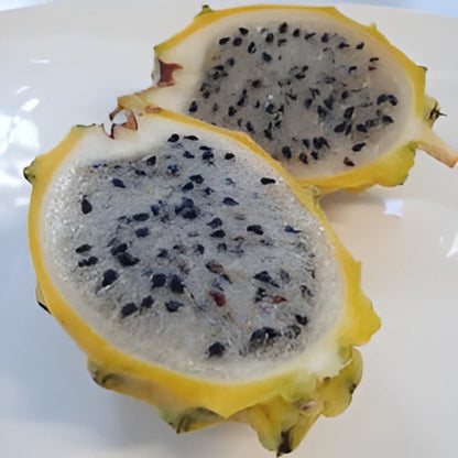 Rainbow Dragon Fruit Seeds
