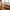 Best rainbow spring toy - activity toys | 2026 | fast shipping