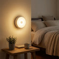 Rechargeable Motion Sensor Night Light (1 Pc)