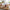 Best rectangular plastic food storage (set of 3) containers | 2026 | fast shipping
