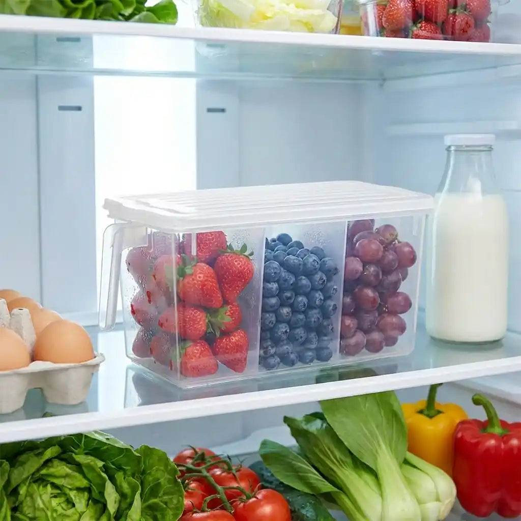 Best refrigerator organizer storage box - food containers | 2026 | fast shipping