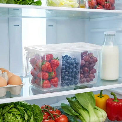 Best refrigerator organizer storage box - food containers | 2026 | fast shipping