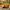 Best remote control jcb toy truck - cars & trucks | 2026 | fast shipping