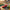 Best remote control racer - cars & trucks | 2026 | fast shipping