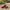 Best remote control racer - cars & trucks | 2026 | fast shipping