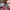 Best reusable birthday gift bags - 2025 | fast shipping