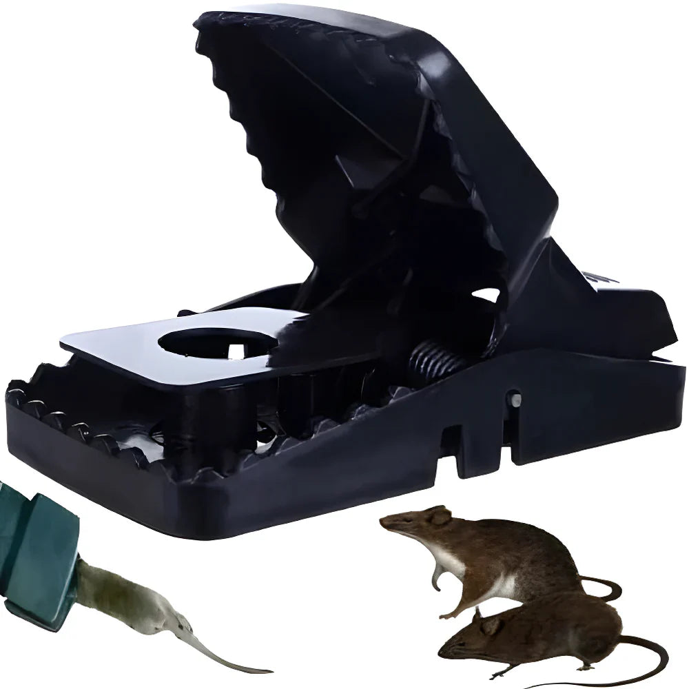 Quick Rat Trap for Home