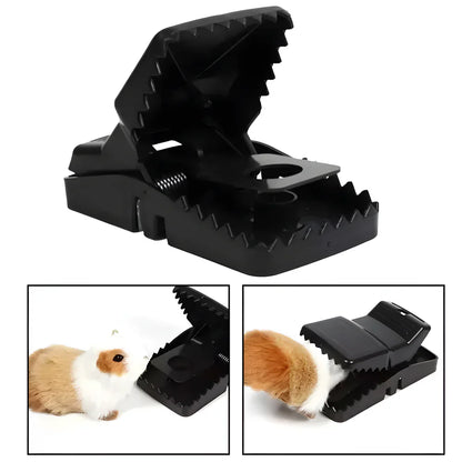 Quick Rat Trap for Home