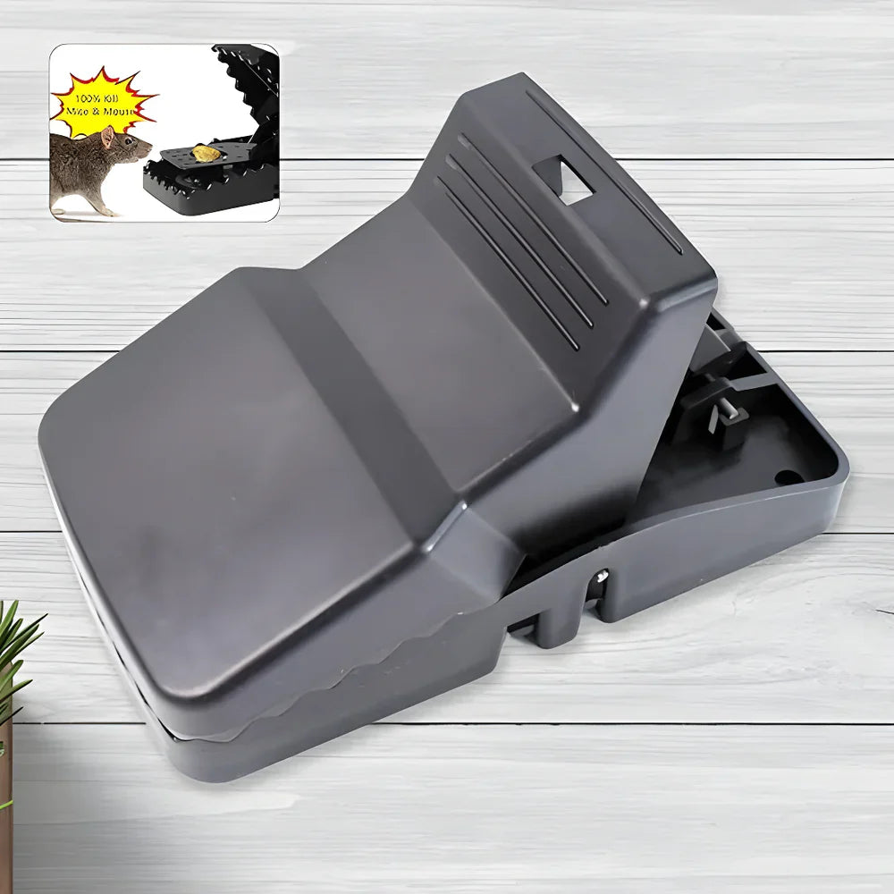 Quick Rat Trap for Home