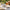 Best rice/noodle bowl set - bowls | 2026 | fast shipping