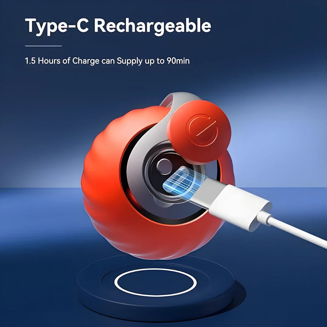 Rolling Ball Cat Toy