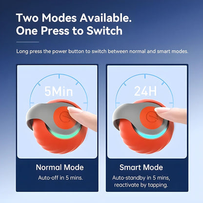 Rolling Ball Cat Toy