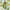 Rosemary Hair Oil Serum – 30ml