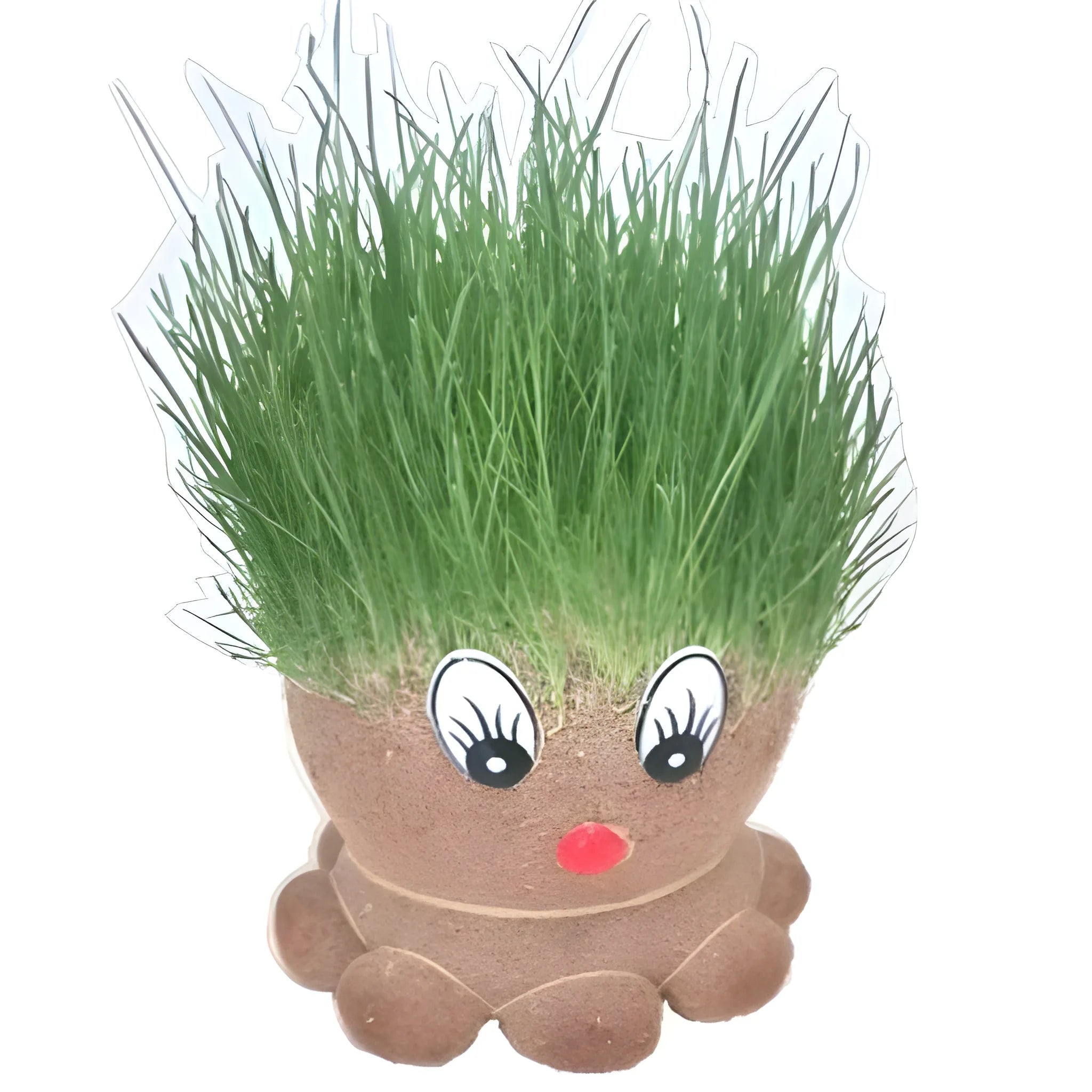 Octopus Grass Doll Pots