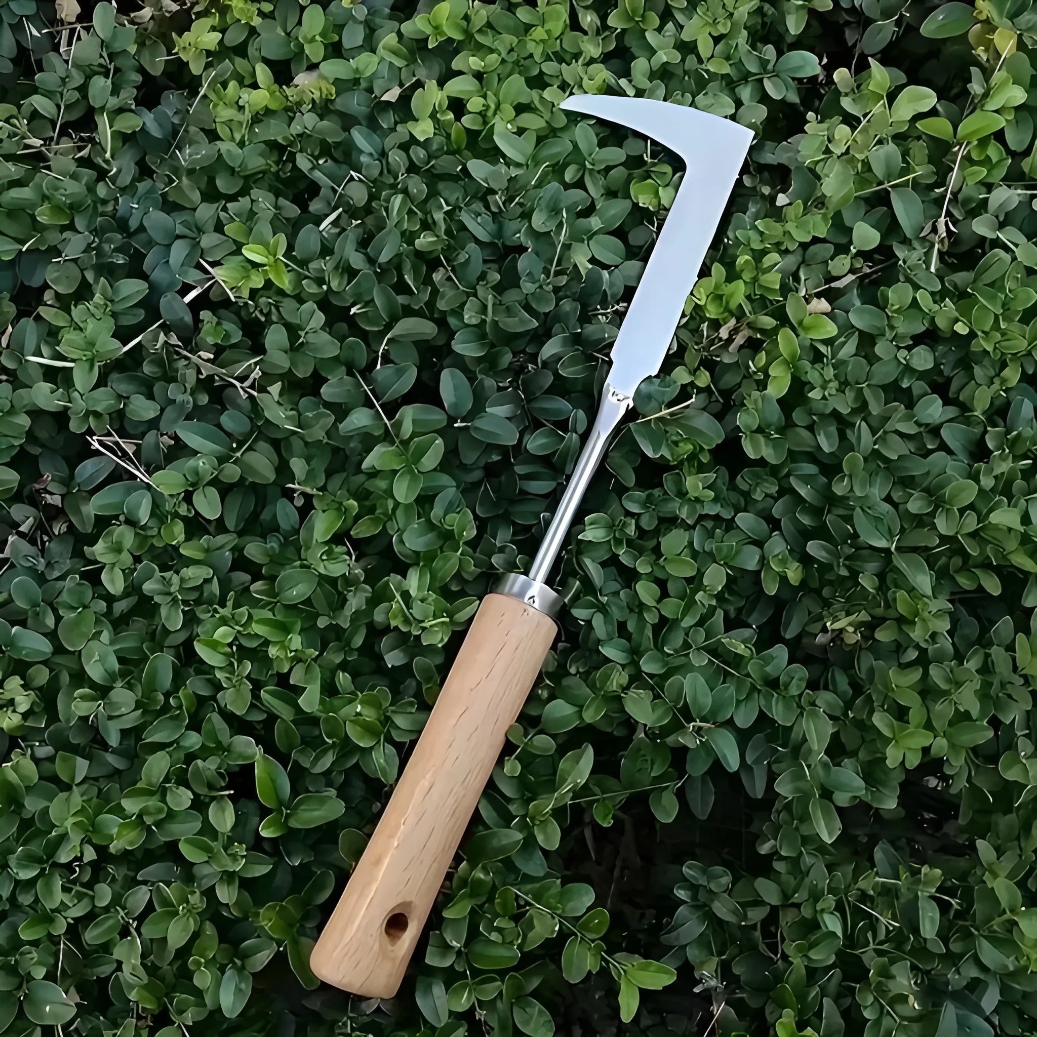 Stainless Steel Weed Puller