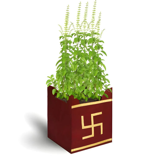 Sacred Tulsi Grow Bag